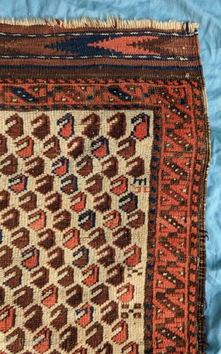Baluch rug.  28” x 45”.  Nice design, good wool and color. Even wear, with corrosion to  the browns.  The ends are good, the selveges are rough.   