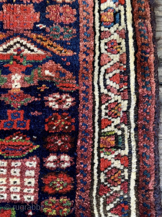 
Kurdish bagface—the piled face of half of a double saddlebag (khorjin).  Has an additional piled panel below the borders where the bottom fold of the bag was.  Good thick pile  ...