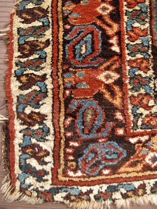  A colorful fragment from somewhere in NWP, and likely a Kurdish product.  It is 36 inches wide and about 48 inches long.  Colors all bright and stable, natural.   ...