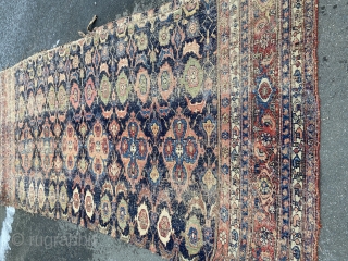 Bidjar fragment - about 61” x 137”.  As Found.  Great drawing, color, whipped condition.  Looks to be center section of resized carpet of large proportions.     