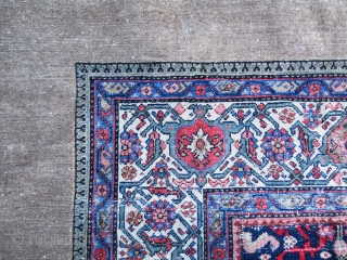 12 x 19.4 - reduced in length.  Loaded with Birds, Animals, Cypress Trees and wear.  9" camel band all around carpet.  Sides reovercast, 1" x 4" patch in field,  ...