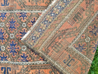 Baluch - 2.8 x 5 with interesting star skirts at each end. Evenly low and without any repairs               
