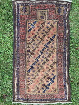 Camel ground Baluch prayer rug - well cared for with evenly low pile and scattered old reweaves.                