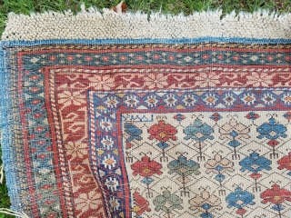 Kuba - wonderful ivory ground with diagonal rows of nicely executed polychrome carnations, about 2.5' x 4.5', secondary border and guard stripe missing lower end, good even pile.     