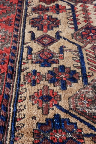 Antique Baluch Pile Rug C1900
Camel's Wool Ground
Size: 161cm x 96cm (5ft 3.4 inches x 3ft 1.8 inches)
Decorated with Angular Flower and Tree Forms, High Lighted by Geometric Bird Motifs. All Vegetable Dyes  ...