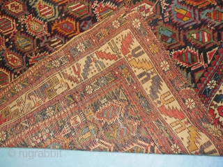 MARASALI SHIRVAN PRAYER RUG 

GOOD QUALITY AND AGE - AS FOUND ,WITH NO REPILING OR REPAIRS

REASONABLY PRICED  FOR AN OLD MARASALI IN DECENT  CONDITION
 
WITH  ALL GOOD DYES
  