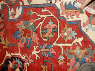 BOYLSTON ASSOCIATES ANTIQUE CAUCASIAN RUGS . COM
SELLING A 9 1/2 X 12 1/2 FT SERAPI WITH GLOWING COLORS HAVING NO CONDITION DEFECTS . OR UNSIGHTLY ABRASH . A ...
