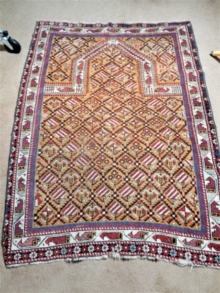 OPPORTUNITY FOR A COLLECTOR TO BUY A FINE GOLD FIELD MARASALI PRAYER RUG WITH GOOD PILE FOR A BARGAIN PRICE OF $1150 -
SIDES HAVE BEEN REBOUND AND A BIT OF END DAMAGE-
ALL  ...