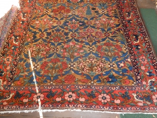 THIS ANTIQUE BAHKTIARI CARPET HAS A NICE GOLD FIELD OF EVEN COLOR.

LARGE SIZE OF 6 1/2 FT X 10 FT . GOOD PILE, SIDES AND ENDS ....

AN ANTIQUE CARPET IN GOOD CONDITION  ...