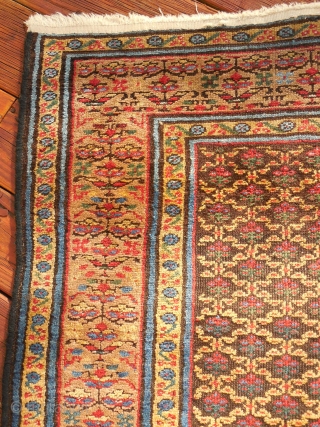 PERSIAN GALLERY CARPET IN EXCELLENT CONDITION 

50 INCHES X 112 INCHES  


 

                   