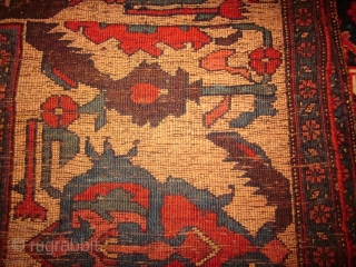 old bijar bidjar with size of 7 x 12 ft wool foundation
                     