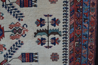Very attractive and decorative Afshar rug circa 1900 in good overall condition - 2m x 1.60m (6' 6" x 5' 3"). Price includes shipping.         