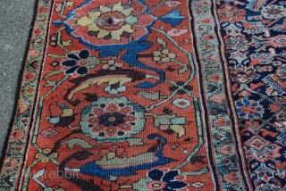 A great antique Feraghan carpet with magnificent main border just acquired from an old Scottish house. The carpet is in good condition overall with some small areas of wear but nothing serious!  ...