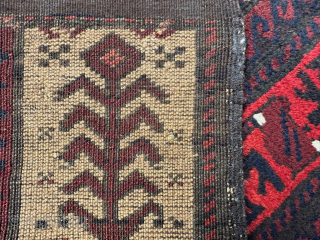 A lovely, small Baluch prayer-rug with natural camel-hair ground comprising a tree-of-life.
In very good condition and complete with plain-weave skirts.
1.42 x 0.76m (4' 8" x 2' 6").
Contact at:- brianmacdonaldrugs@gmail.com    