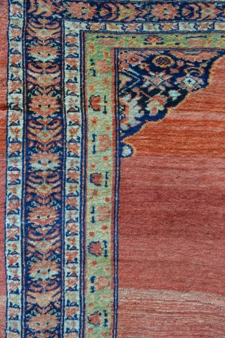 19th century Sultanabad rug in good overall condition with a beautiful abrash of madder-red in the central field - 2.18m x 1.42m (7' 2" x 4' 8").      