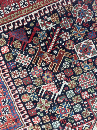 Exceptional Quashqai tribal rug in excellent condition. 160 x 280 

Features rare camel motifs, fine knotting, and beautifully preserved natural colors. A striking example of Quashqai craftsmanship value.     