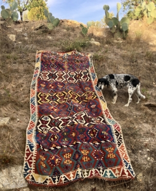 Konya great kilim. Cm 140x380. Datable mid 19th century. Konya area. In very good condition. Fantastic natural saturated colors. Go & see the details, you'll love it. Interesting price. Apply here pls:  ...