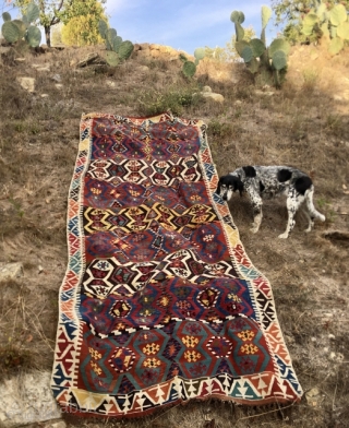 Konya great kilim. Cm 140x380. Datable mid 19th century. Konya area. In very good condition. Fantastic natural saturated colors. Go & see the details, you'll love it. Interesting price. Apply here pls:  ...