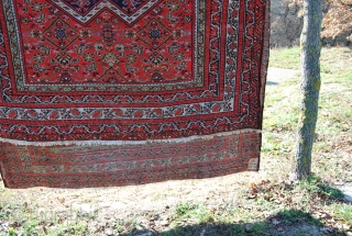 Malayer rug, cm 148x356, good age, good colors, good condition..
See more pics on Facebook: https://www.facebook.com/media/set/?set=a.10151421362609258.543162.358259864257&type=3
                  