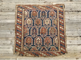 Lovely Caucasian, probably Shirwan, sumack bag face. Cm 46x48. Mid 19th c. Damaged, worn out, but beautiful, rare, with great pattern and fantastic dyes. Affordable.        