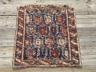 Lovely Caucasian, probably Shirwan, sumack bag face. Cm 46x48. Mid 19th c. Damaged, worn out, but beautiful, rare, with great pattern and fantastic dyes. Affordable.        