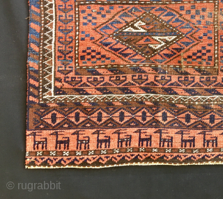 Baluchi rug fragment.
Cm 37x48
Early 20th century or before.
Very thin weave.
Great camel(?) display.
Decorative, beautiful and cheap.
Email carlokocman@gmail.com                 