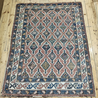 Sweet small Shirwan Surahani rug
cm 100x125
Late 19th/early 20th century
Azerbaijan, Surahani peninsula
Rare and interesting rug with main field pattern filled with unusual kind of palmettes of different shape and color. Unusual & weird  ...