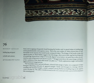 Shahsavan Moghan Savalan sumack/kilim mafrash long panel.
Cm 56x103. Datable end 19th, early 20th century.
See extended caption in an almost identical panel in the the wonderful book of
John Wertime "SUMACK BAGS".

If interested please  ...