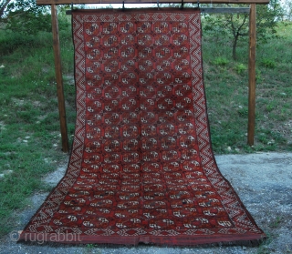 Kizil Ayak pile rug. Big & beautiful. Size is cm 225x470 or ft 7.4x15.4 ca. Second half 19th century. Tauk nuska and checmche gulls. Sarkhalka borders. Full, detailed pics and all infos  ...