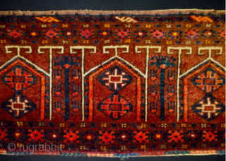 Turkmen Ersari trapping. Cm 33x170. Late 19th/early 20th century. In good condition, full pile. Beautiful collection item. Lovely yurt design with trees in between. The graphic is great! 
    