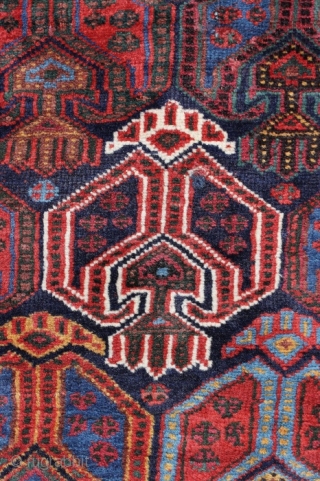 Afshar rug; around 1875; well known design known from Afshar bags, never seen a rug with it; I bought this Afshar direct from the well known collection from Meyer-Müller Zurich/Switzerland. This rug  ...