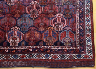 Afshar rug; around 1875; well known design known from Afshar bags, never seen a rug with it;  
I bought this Afshar direct from the well known collection from Meyer-Müller  Zurich/Switzerland.  ...