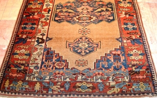 Unique Kurdish(Bijar) Rug Circa 1800 ( In good conditions) 
size 4.4 x 6.4 (134 x 195 cm)                