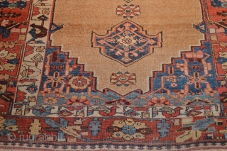 Unique Kurdish(Bijar) Rug Circa 1800 ( In good conditions) 
size 4.4 x 6.4 (134 x 195 cm)                