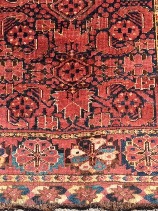 Turkman Bashir Rug Circa 1890 in nice conditions size is 4.8 x 7.6 (140X231)CM
one corner has small repair .              