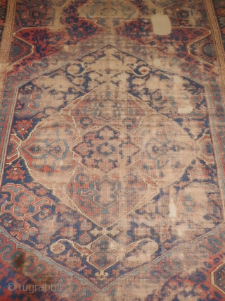 Anatolian Ushak fragment mounted on cotton XVIII th.century.Size 200x300 cm                       