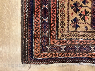 2'9'' x 5'1'' / 84cm x 157cm An antique prayer Baluch rug woven by the Baloch people living in eastern Iran. The Mihrab field is composed of a directional prayer niche with  ...