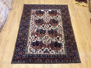 4'11'' x 6'4'' / 152cm x 194cm A Tribal diamond… An antique Persian Rug woven by Afshar people.

https://www.instagram.com/carpetusrugs/

               