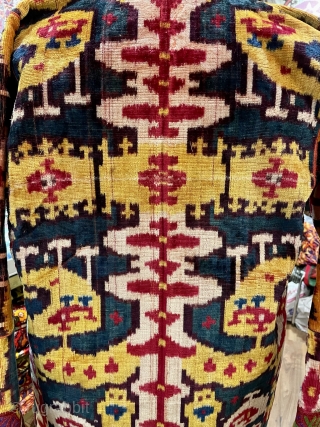 Uzbek velvet ikat 19. C.                            