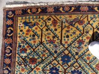 Antique Yellow field Neriz Tree of life with birds. All natural colors. 5' by 4 '. Wool warp.               