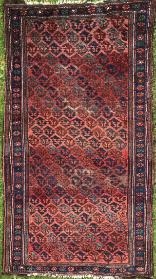 Antique Kurdish rug, 193x109cm, good natural colours, gently washed is looking for a new home.                  
