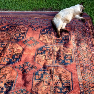 Looking for a good home to add warmth and character....

Ersari main carpet,300x220cm, circa 1900, with original kilim ends,all natural colours, an old minor repair, some wear, in need of a tender wash.Selvedges  ...