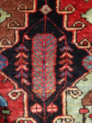 Bakhtiar from the village Âbâdji, circa 1900, 200x143cm, rare border, saturated colours, including beautiful pistachio green, good pile all over, damage in the middle field, 3 tears in the upper and bottom  ...