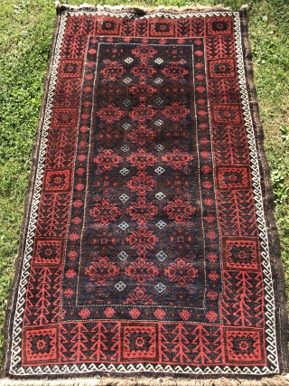 Antique Baluch, 186x118cm, glowing colours, wool shining like silk, good condition, selvedges done with goat hair, gently washed.
Please contact christinawiese.ceramics@gmail.com             