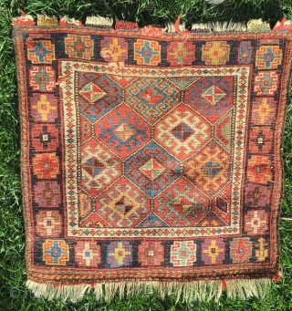 Luscious full pile Kurd bag face, 25" x 24". Glistening wool, all natural colors. No restoration.  Three tiny secured areas (visible in photo of back) that have no trace on front.  ...