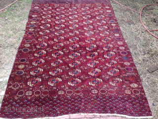 Good decorative Tekke main carpet, late 19th/early 20th Centuries. All natural colors, thick glossy, full pile wool. Several small poorly done patches (see detail).  Sides need minor attention, could use a  ...