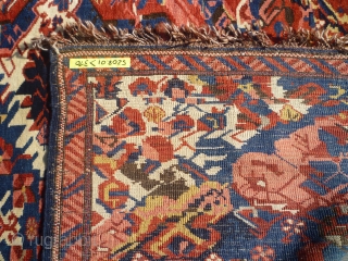 SEICHUR WAGIREH ,145 x108 ,East Caucasus,Kuba region,second half 19th century ,wool on wool,acquired at Rippon Boswell auction ,very good condition.             