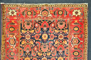 Shirvan Rug 19 th. Powerfull Colors
Size 166 x 120 cm, Herati Motiv                     