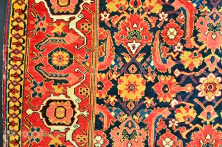 Shirvan Rug 19 th. Powerfull Colors
Size 166 x 120 cm, Herati Motiv                     