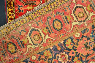 Shirvan Rug 19 th. Powerfull Colors
Size 166 x 120 cm, Herati Motiv                     